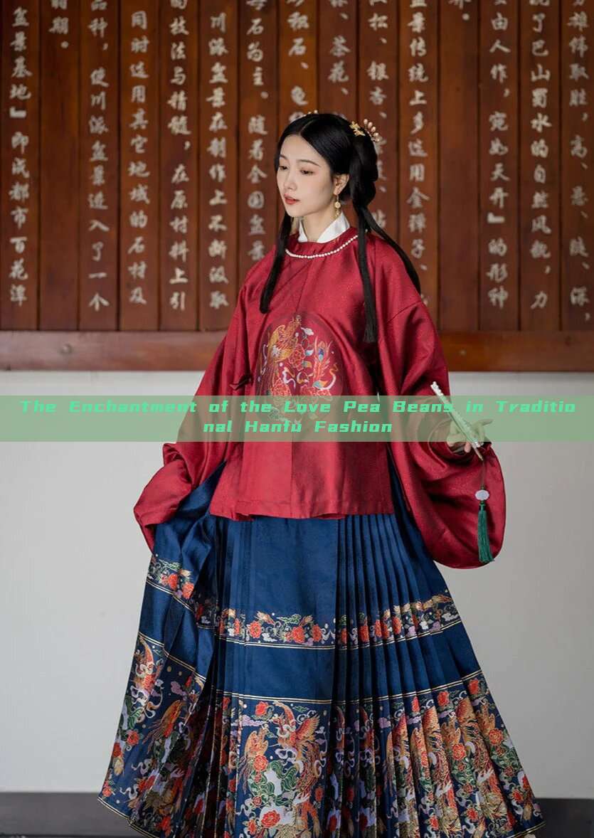 The Enchantment of the Love Pea Beans in Traditional Hanfu Fashion The Enchantment of the Love Pea Beans in Traditional Hanfu Fashion
