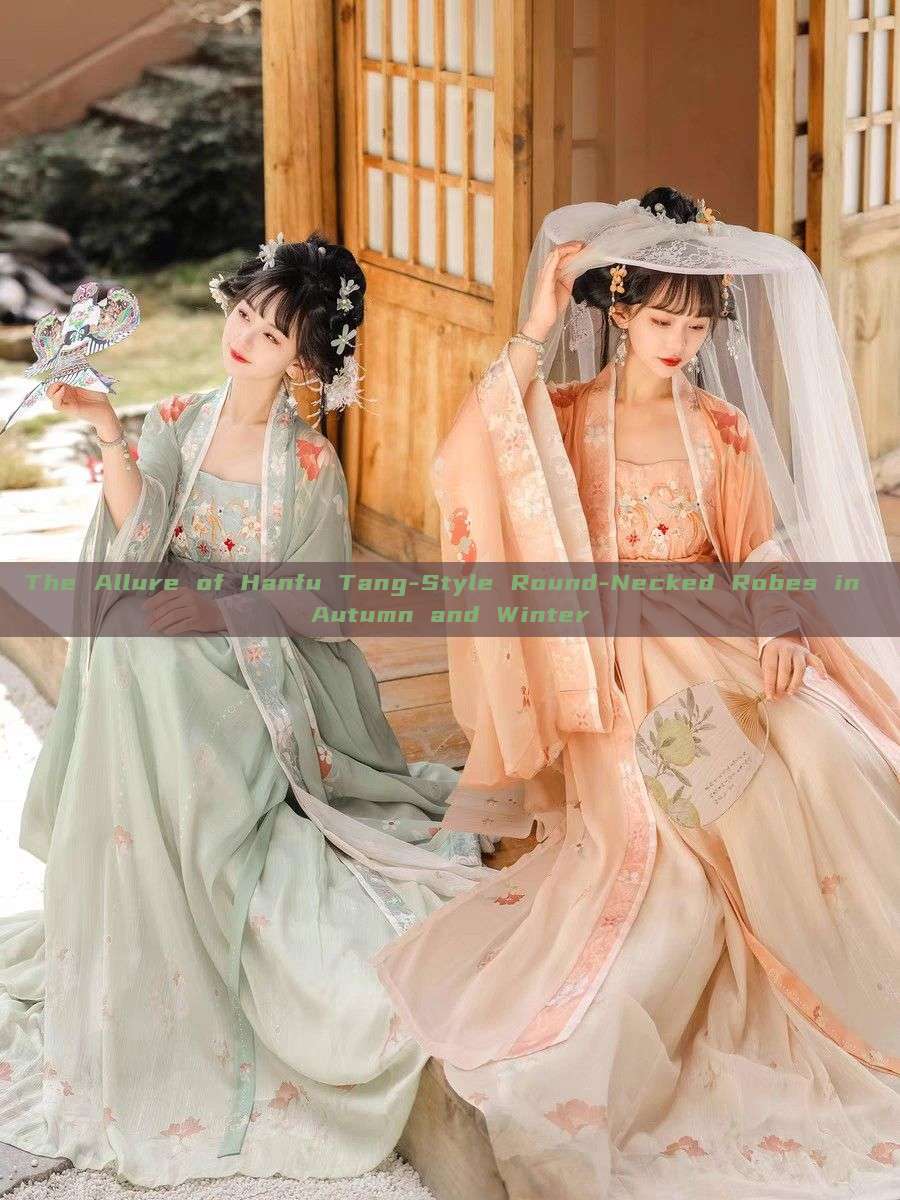 The Allure of Hanfu Tang-Style Round-Necked Robes in Autumn and Winter The Allure of Hanfu Tang-Style Round-Necked Robes in Autumn and Winter