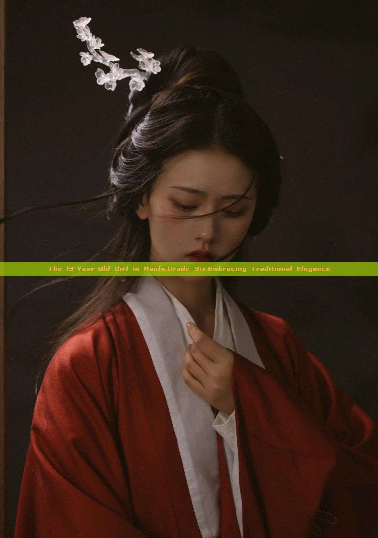 The 13-Year-Old Girl in Hanfu,Grade Six:Embracing Traditional Elegance The 13-Year-Old Girl in Hanfu,Grade Six:Embracing Traditional Elegance