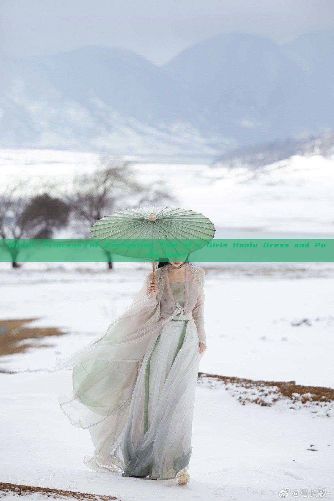 Winter Princess:The Enchanting Tale of a Girls Hanfu Dress and Puffy Skirt Winter Princess:The Enchanting Tale of a Girls Hanfu Dress and Puffy Skirt