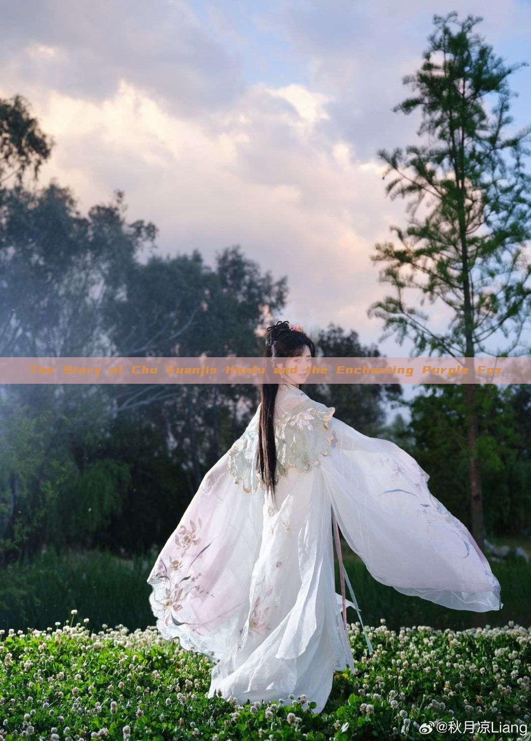 The Story of Chu Xuanjis Hanfu and the Enchanting Purple Fox The Story of Chu Xuanjis Hanfu and the Enchanting Purple Fox