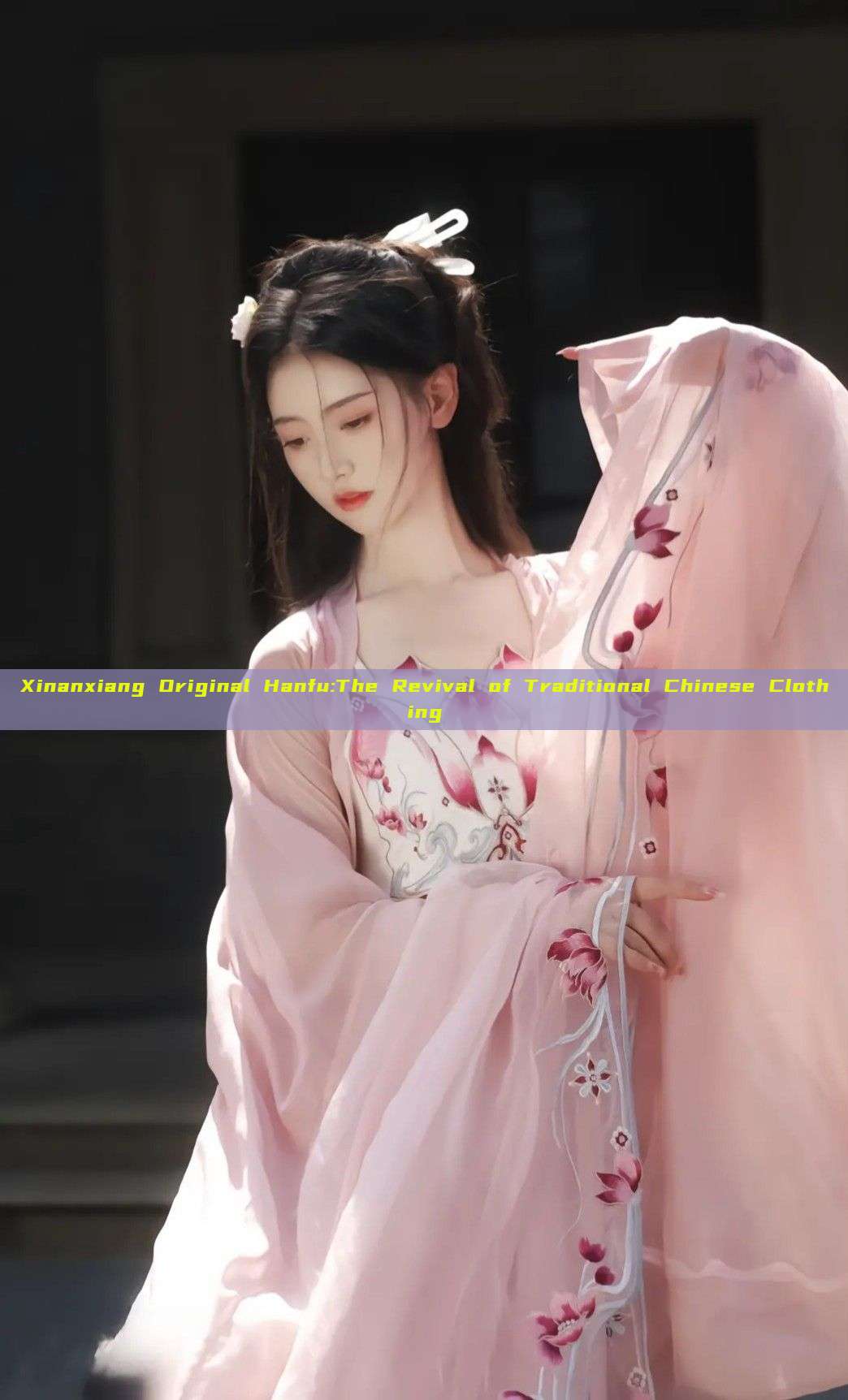 Xinanxiang Original Hanfu:The Revival of Traditional Chinese Clothing Xinanxiang Original Hanfu:The Revival of Traditional Chinese Clothing