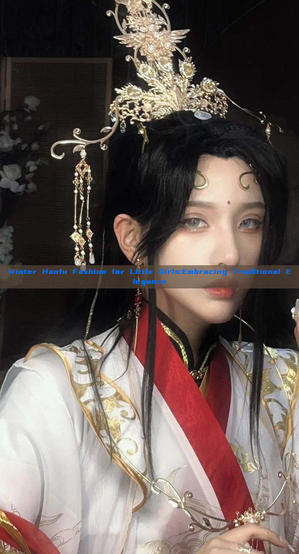 Winter Hanfu Fashion for Little Girls:Embracing Traditional Elegance Winter Hanfu Fashion for Little Girls:Embracing Traditional Elegance
