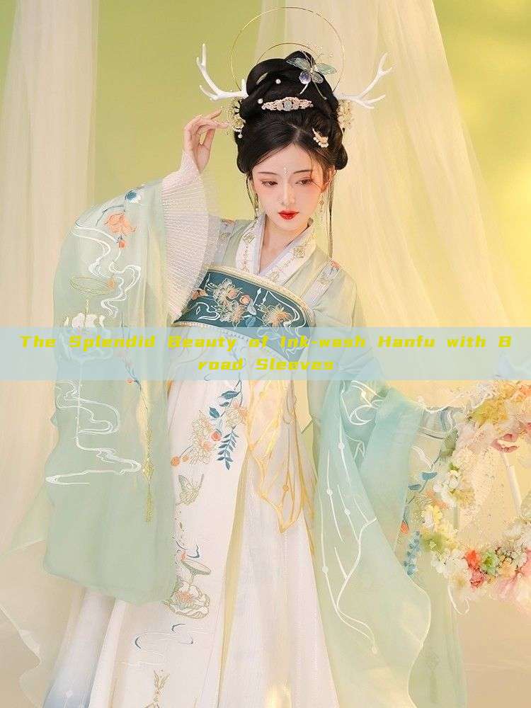 The Splendid Beauty of Ink-wash Hanfu with Broad Sleeves The Splendid Beauty of Ink-wash Hanfu with Broad Sleeves