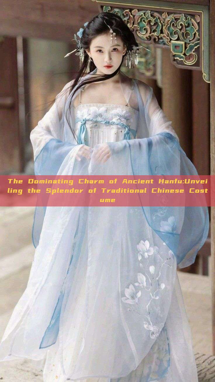 The Dominating Charm of Ancient Hanfu:Unveiling the Splendor of Traditional Chinese Costume
