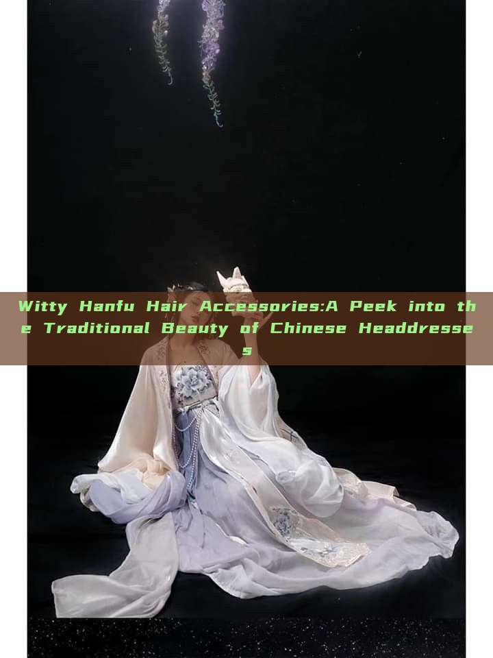 Witty Hanfu Hair Accessories:A Peek into the Traditional Beauty of Chinese Headdresses