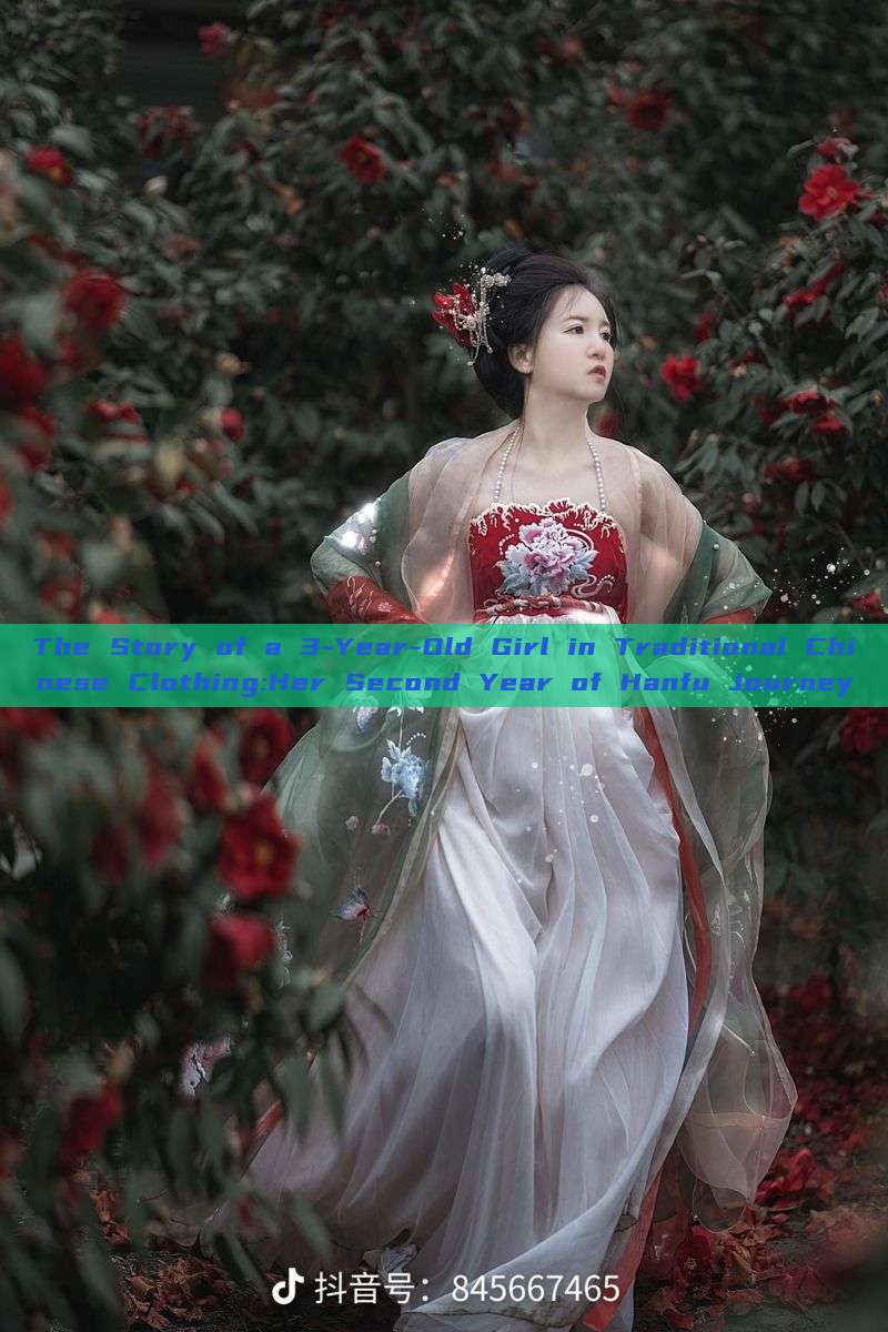 The Story of a 3-Year-Old Girl in Traditional Chinese Clothing:Her Second Year of Hanfu Journey