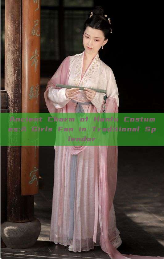 Ancient Charm of Hanfu Costumes:A Girls Fan in Traditional Splendor