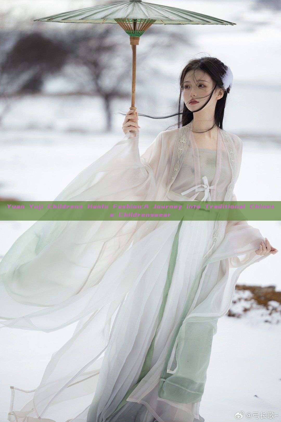 Yuan Yuji Childrens Hanfu Fashion:A Journey into Traditional Chinese Childrenswear Yuan Yuji Childrens Hanfu Fashion:A Journey into Traditional Chinese Childrenswear