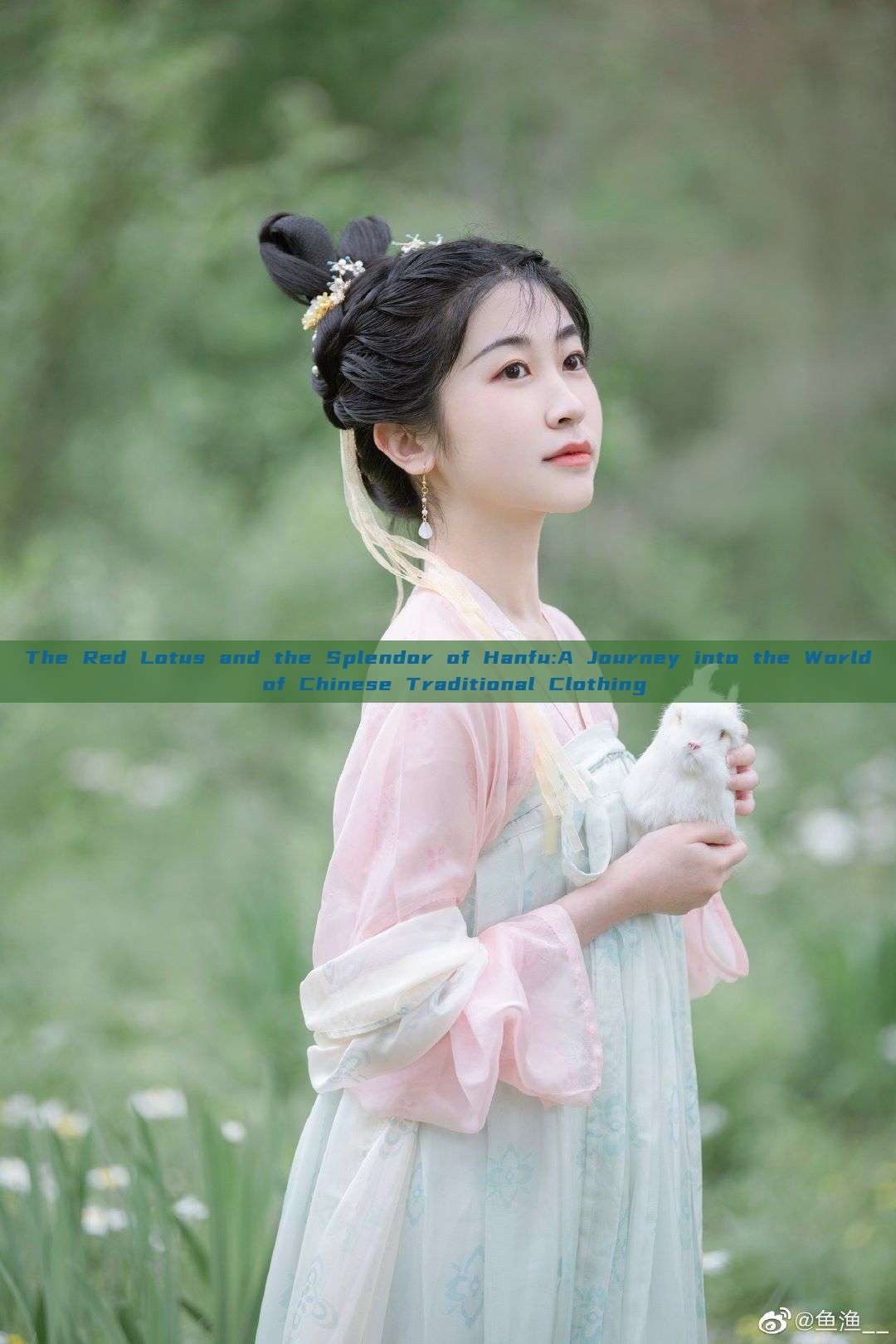 The Red Lotus and the Splendor of Hanfu:A Journey into the World of Chinese Traditional Clothing