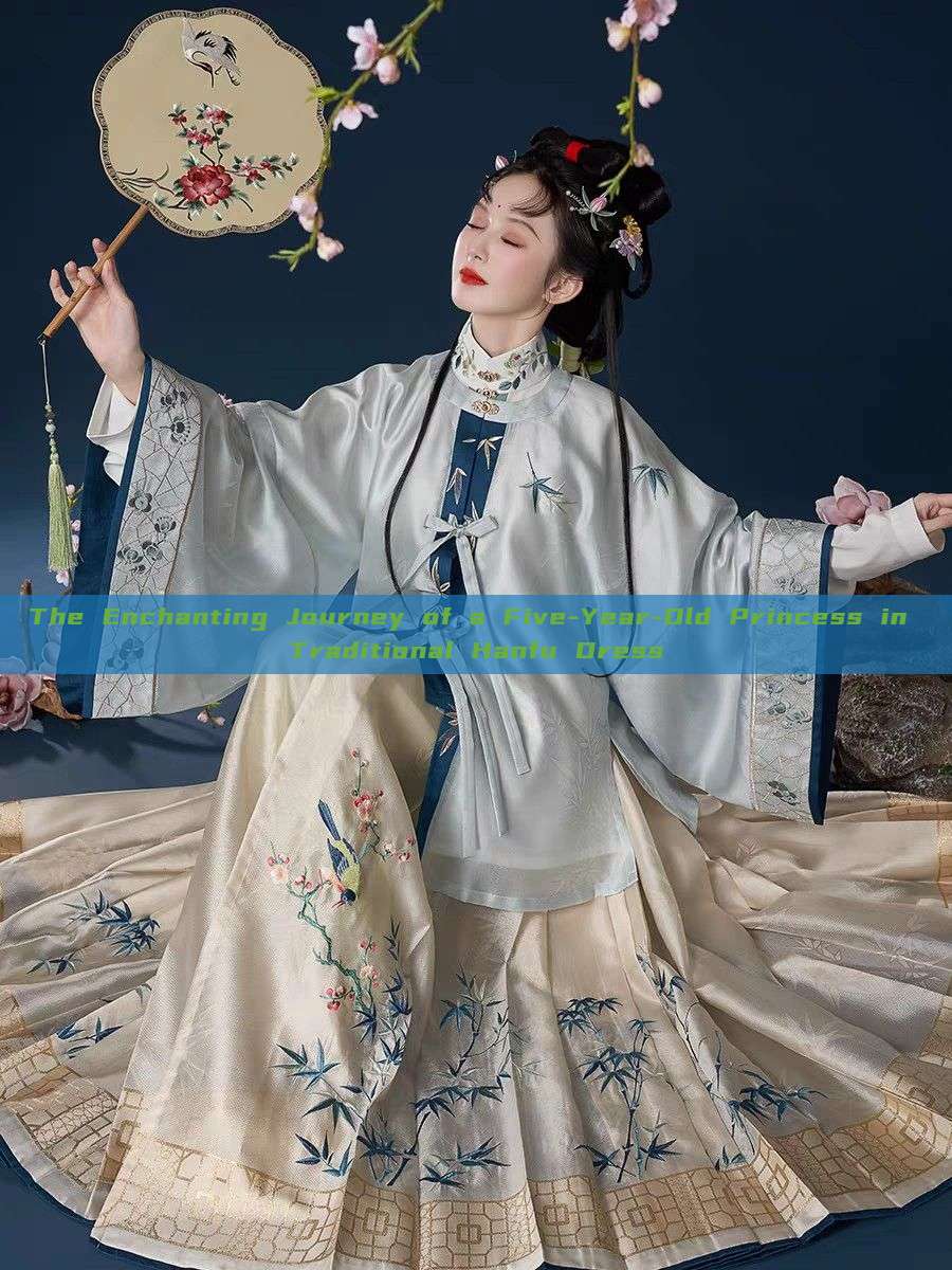 The Enchanting Journey of a Five-Year-Old Princess in Traditional Hanfu Dress