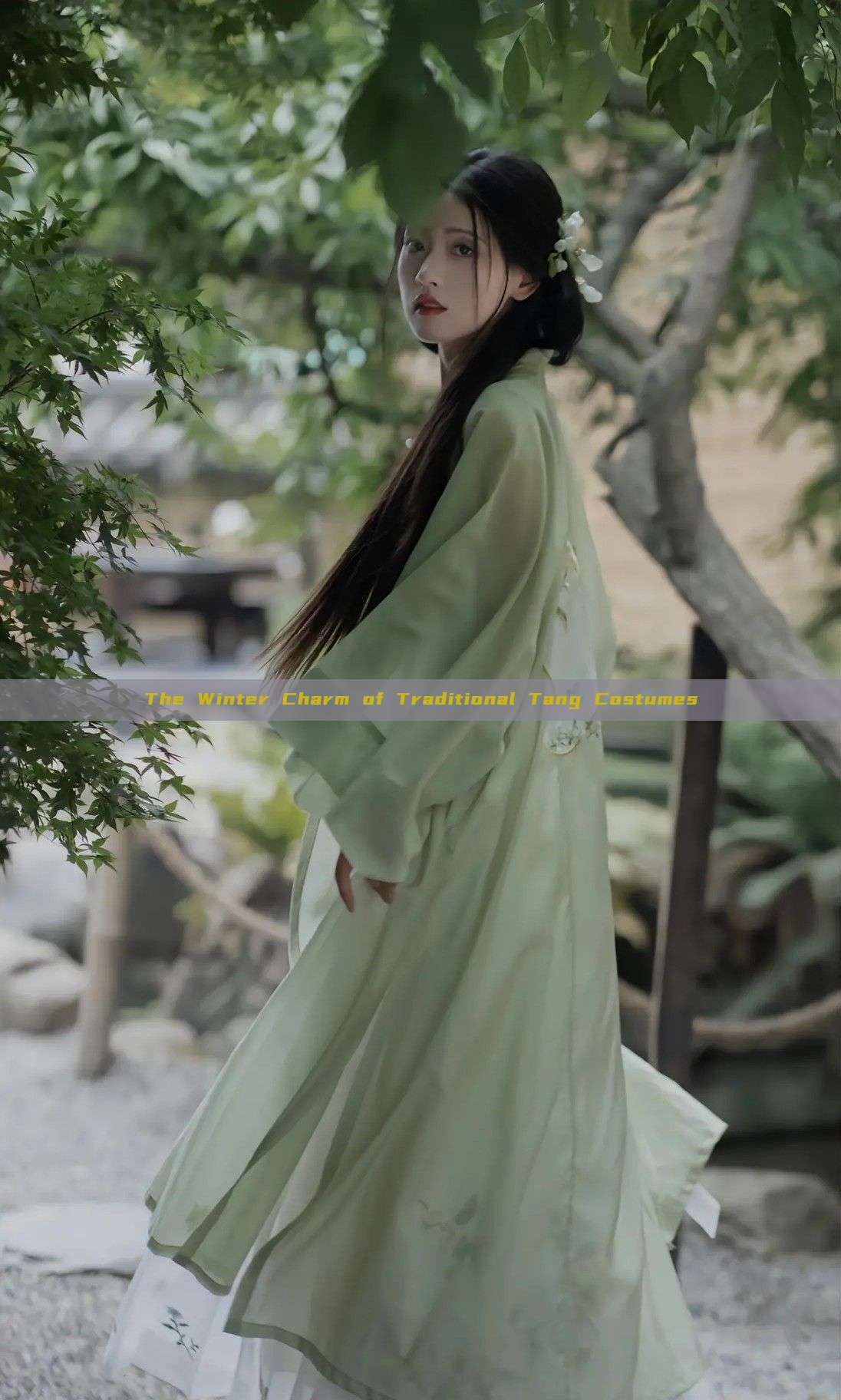 The Winter Charm of Traditional Tang Costumes