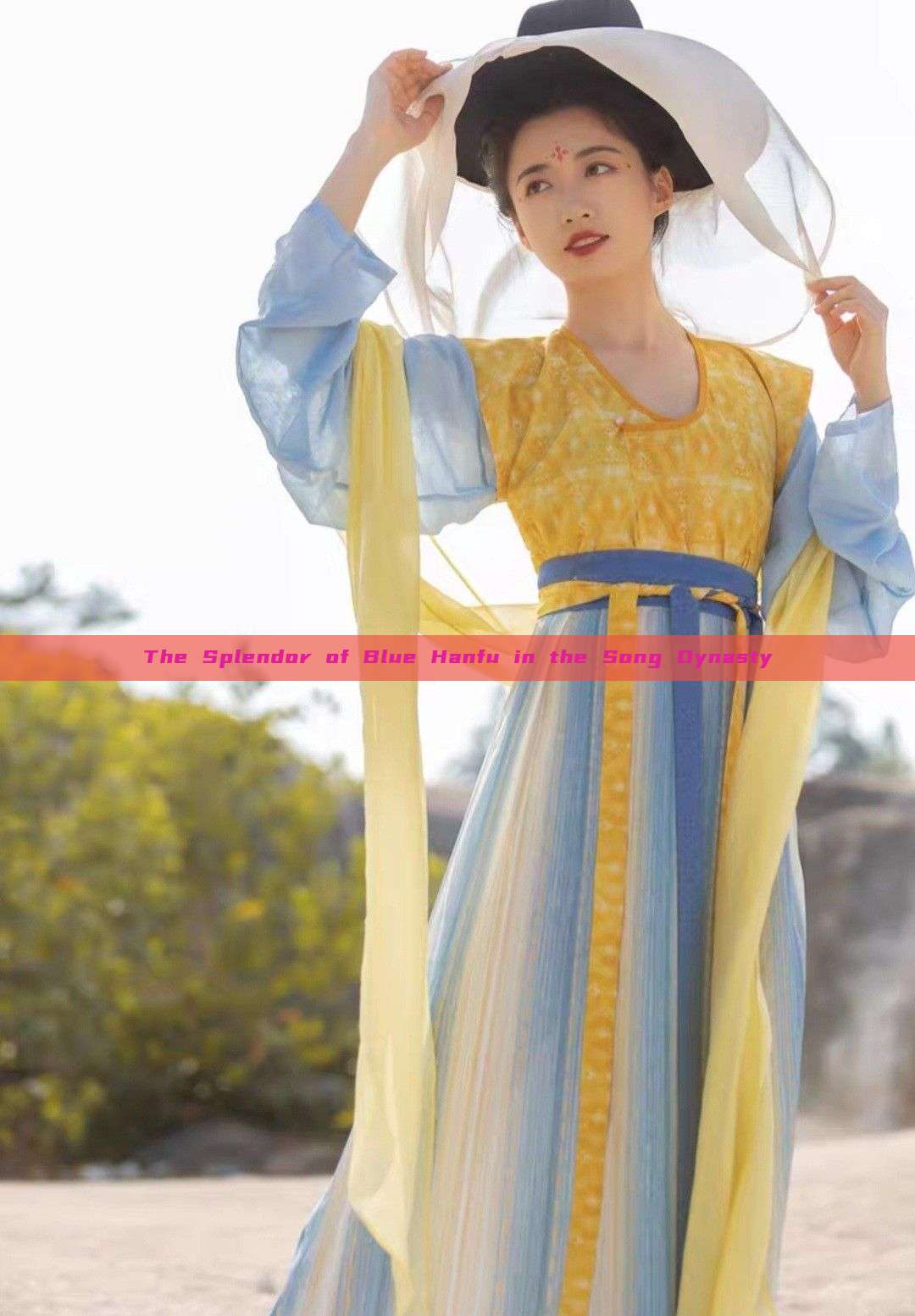 The Splendor of Blue Hanfu in the Song Dynasty