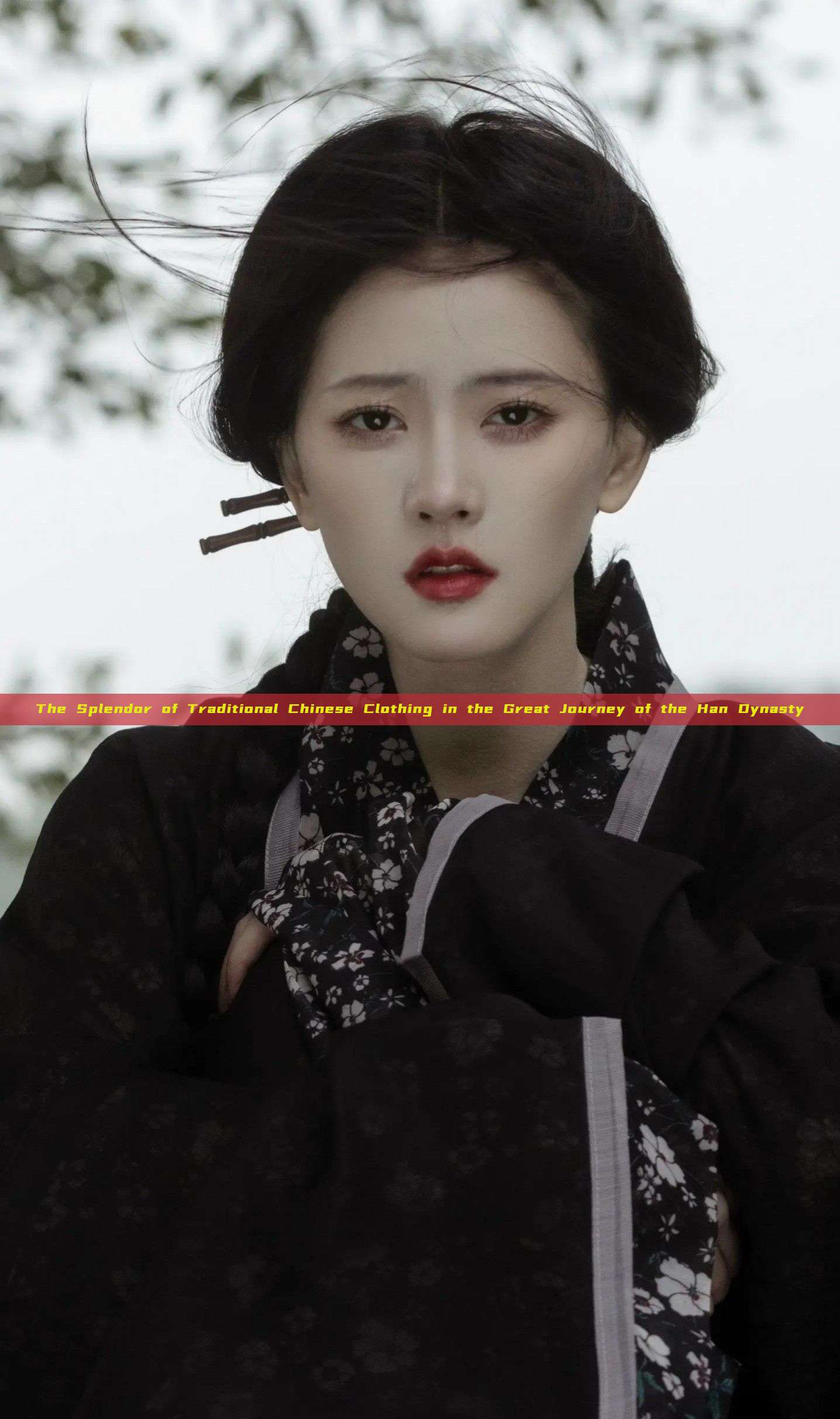 The Splendor of Traditional Chinese Clothing in the Great Journey of the Han Dynasty The Splendor of Traditional Chinese Clothing in the Great Journey of the Han Dynasty