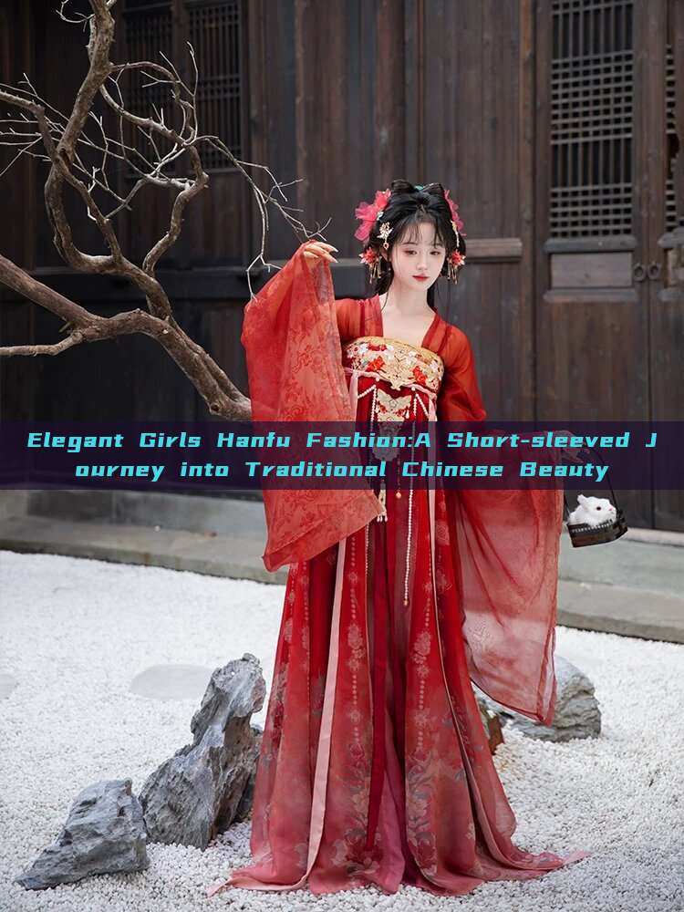 Elegant Girls Hanfu Fashion:A Short-sleeved Journey into Traditional Chinese Beauty