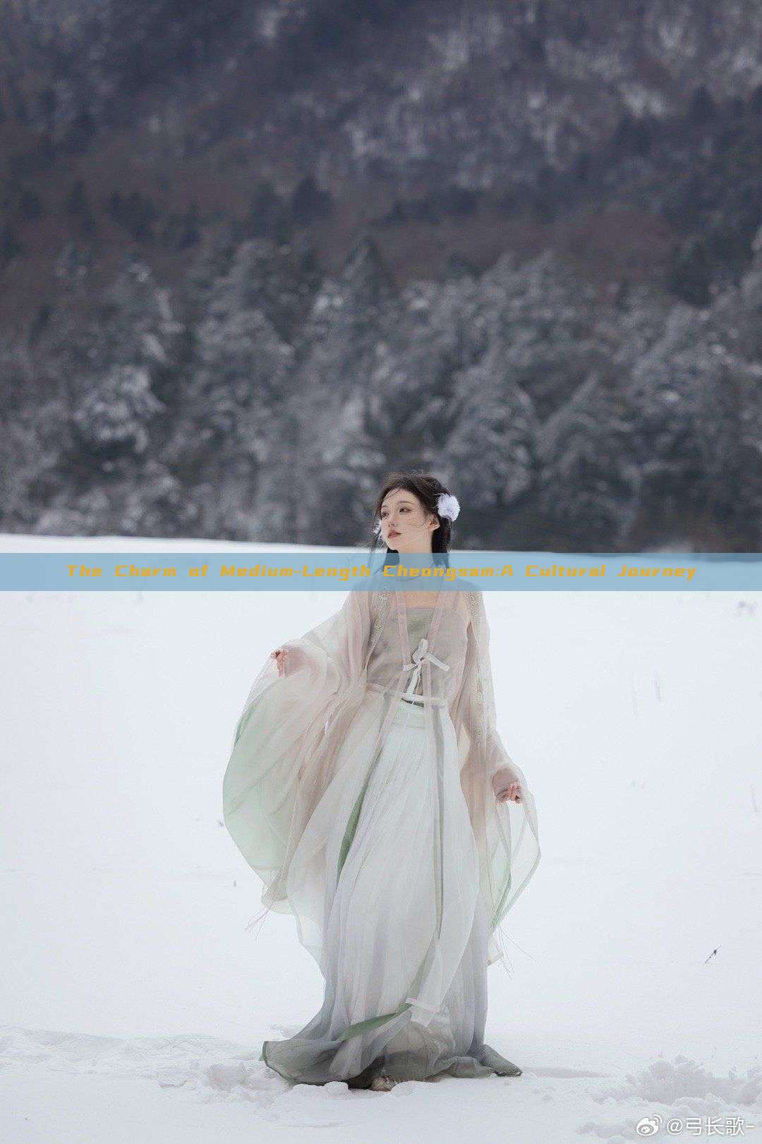 The Charm of Medium-Length Cheongsam:A Cultural Journey