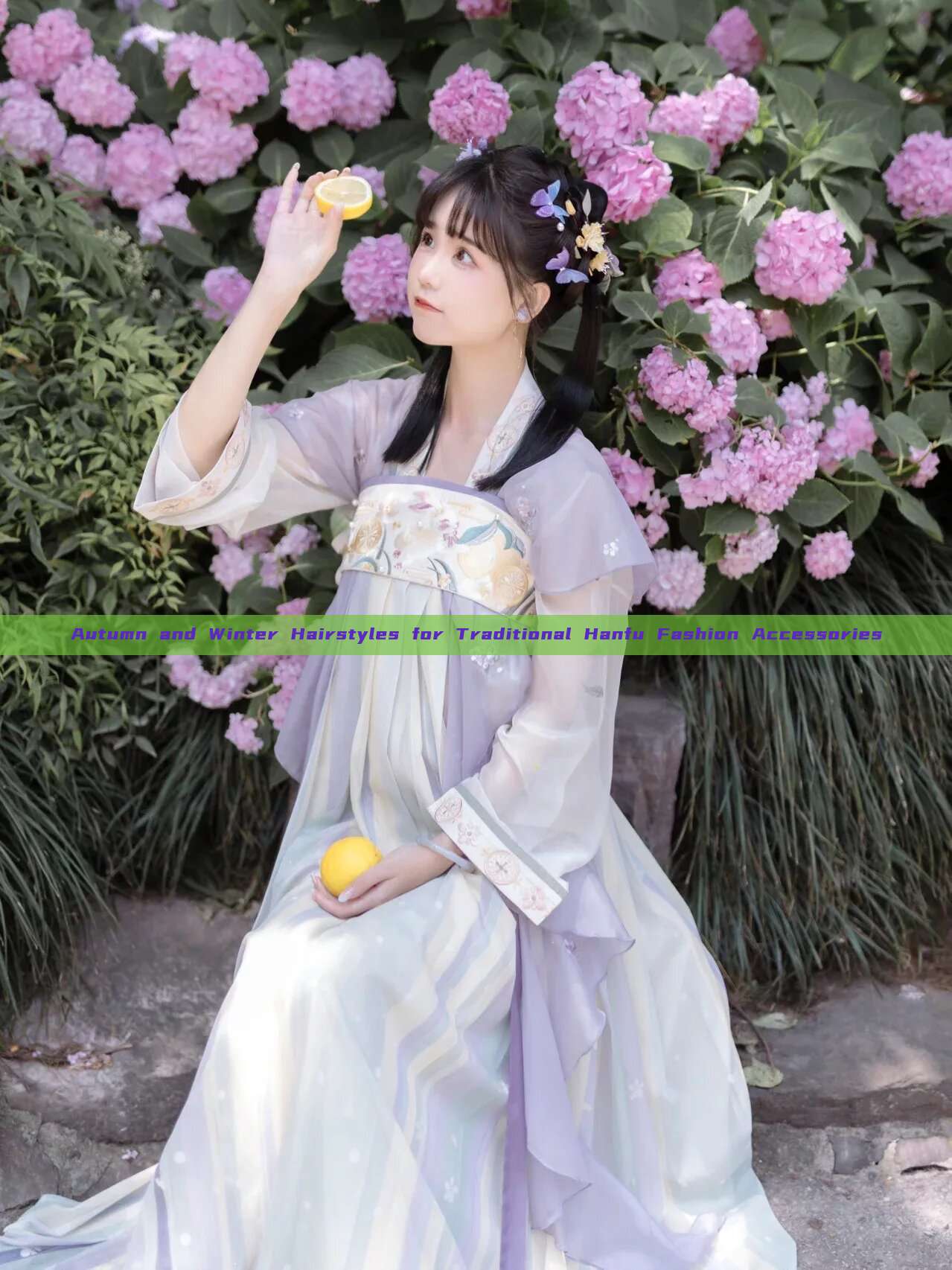 Autumn and Winter Hairstyles for Traditional Hanfu Fashion Accessories Autumn and Winter Hairstyles for Traditional Hanfu Fashion Accessories