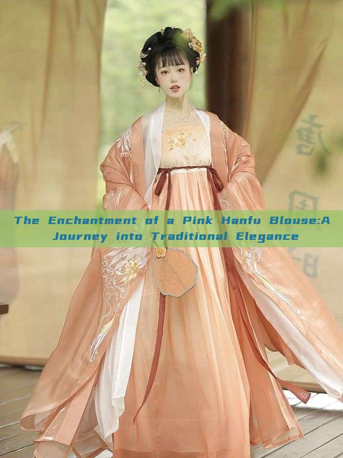 The Enchantment of a Pink Hanfu Blouse:A Journey into Traditional Elegance