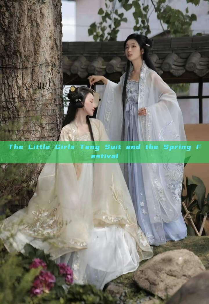 The Little Girls Tang Suit and the Spring Festival