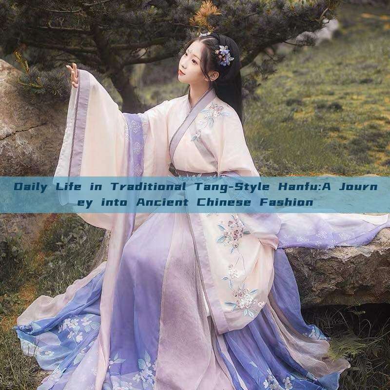 Daily Life in Traditional Tang-Style Hanfu:A Journey into Ancient Chinese Fashion