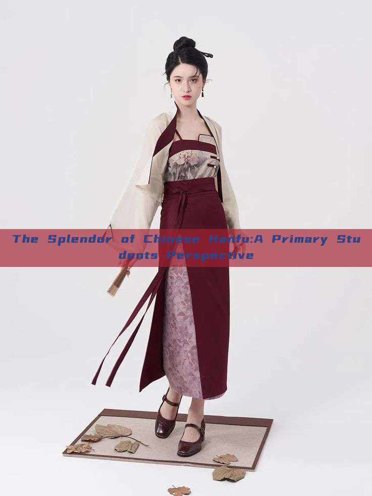 The Splendor of Chinese Hanfu:A Primary Students Perspective