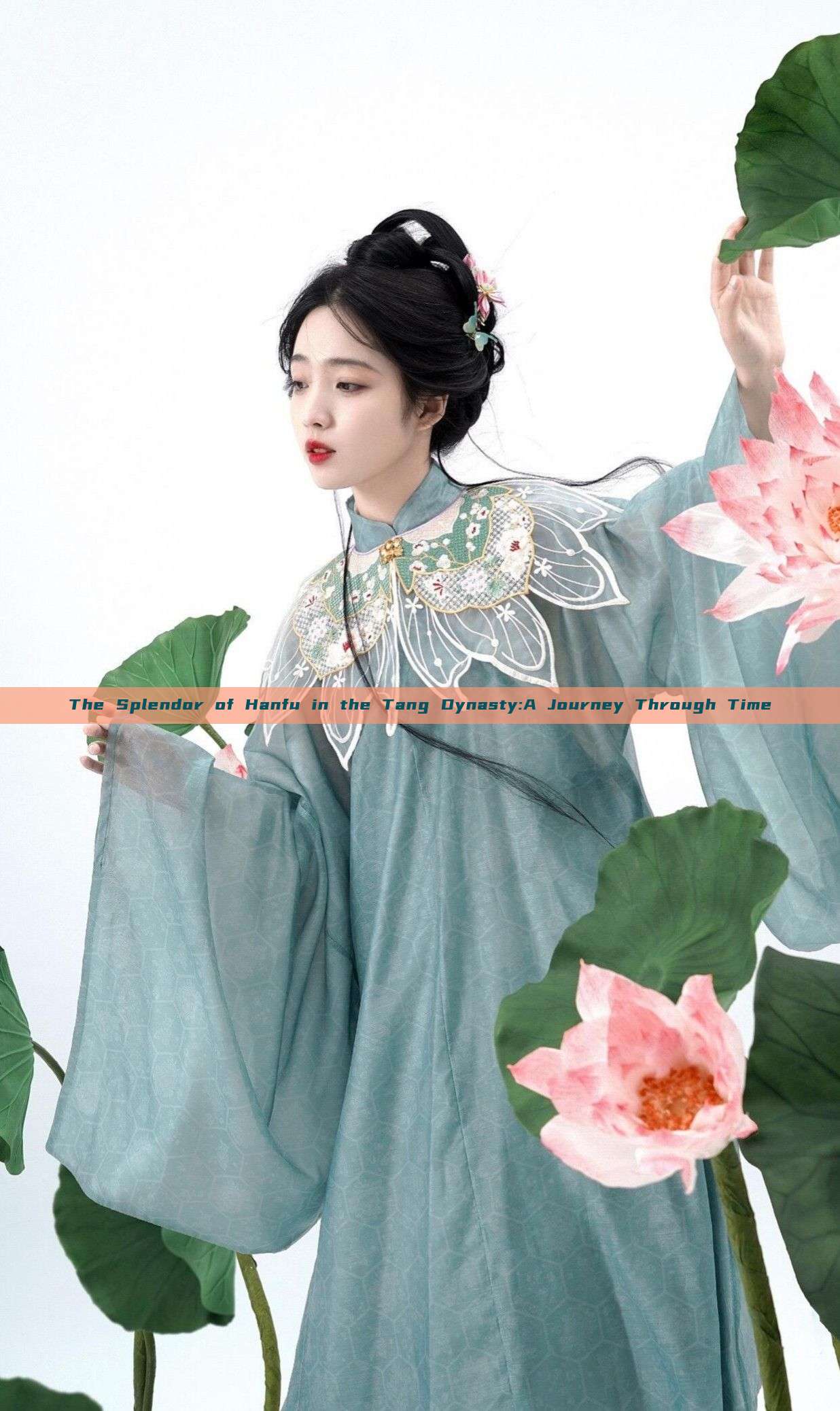 The Splendor of Hanfu in the Tang Dynasty:A Journey Through Time