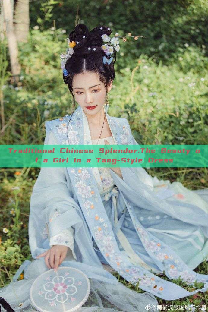 Traditional Chinese Splendor:The Beauty of a Girl in a Tang-Style Dress Traditional Chinese Splendor:The Beauty of a Girl in a Tang-Style Dress