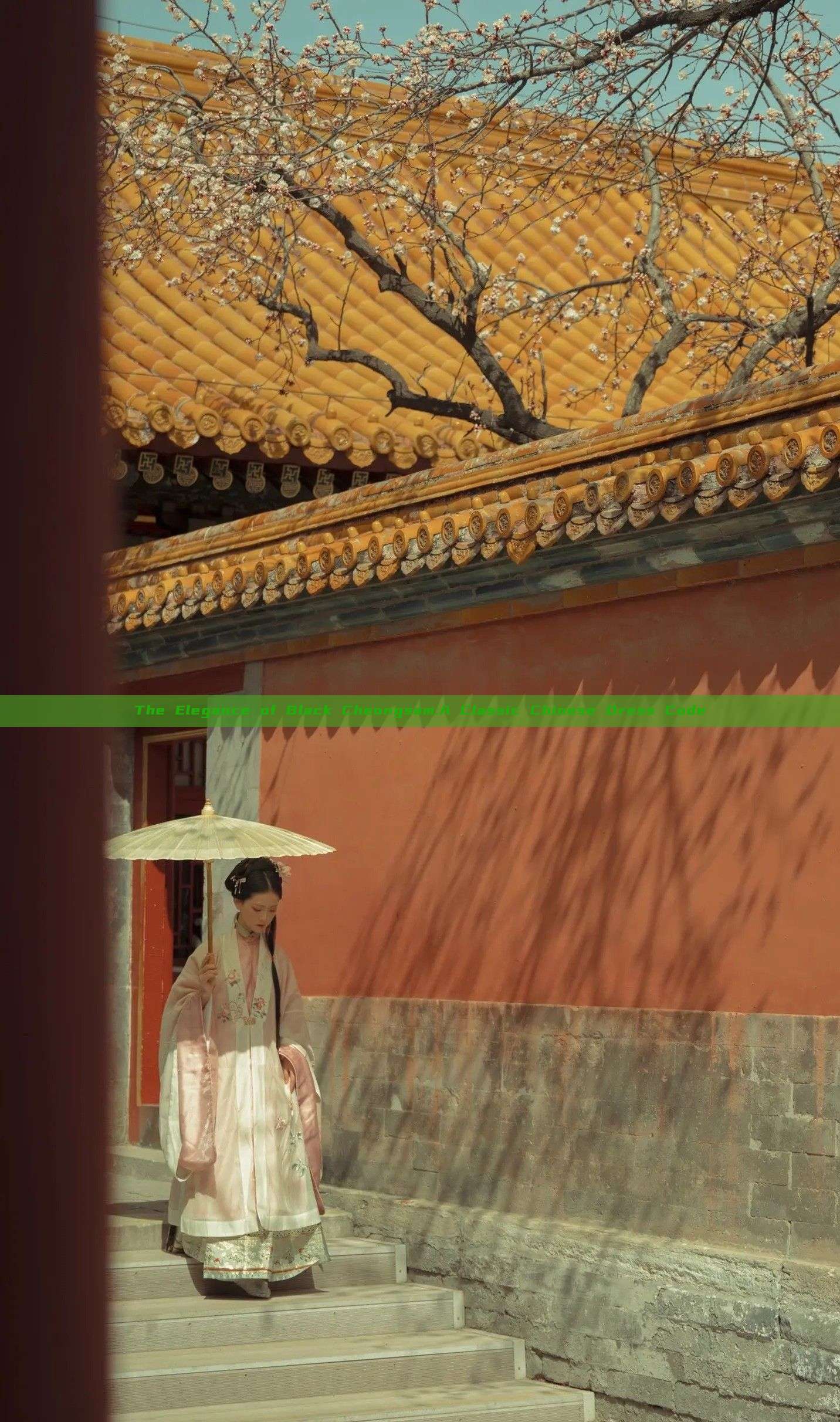 The Elegance of Black Cheongsam:A Classic Chinese Dress Code