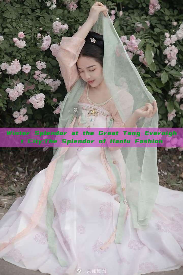 Winter Splendor at the Great Tang Evernight City:The Splendor of Hanfu Fashion Winter Splendor at the Great Tang Evernight City:The Splendor of Hanfu Fashion