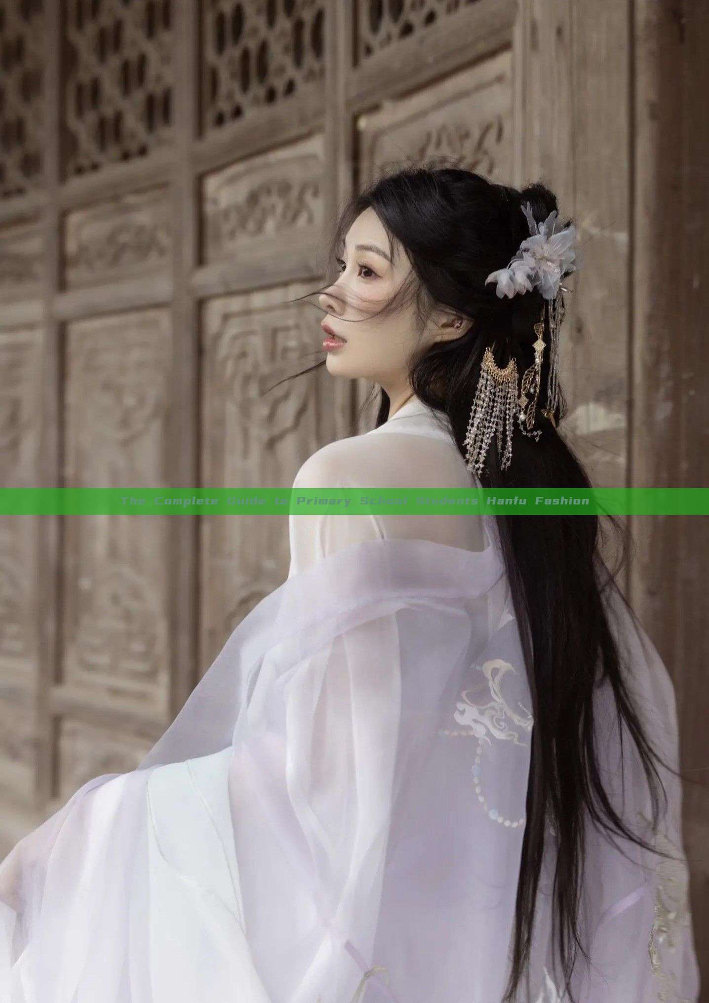 The Complete Guide to Primary School Students Hanfu Fashion