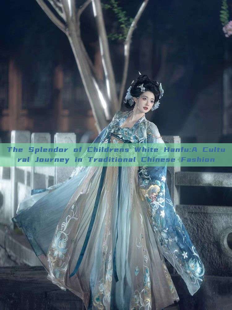 The Splendor of Childrens White Hanfu:A Cultural Journey in Traditional Chinese Fashion The Splendor of Childrens White Hanfu:A Cultural Journey in Traditional Chinese Fashion