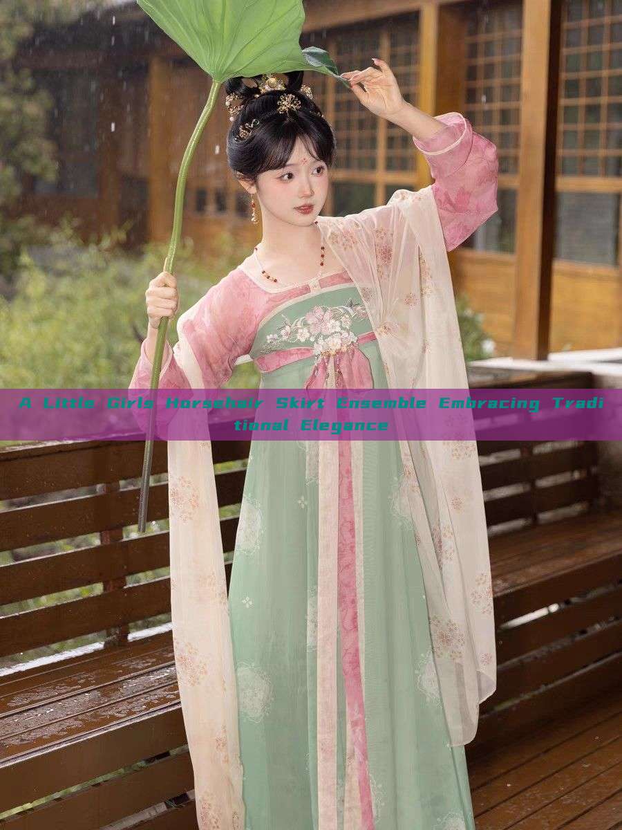 A Little Girls Horsehair Skirt Ensemble Embracing Traditional Elegance A Little Girls Horsehair Skirt Ensemble Embracing Traditional Elegance