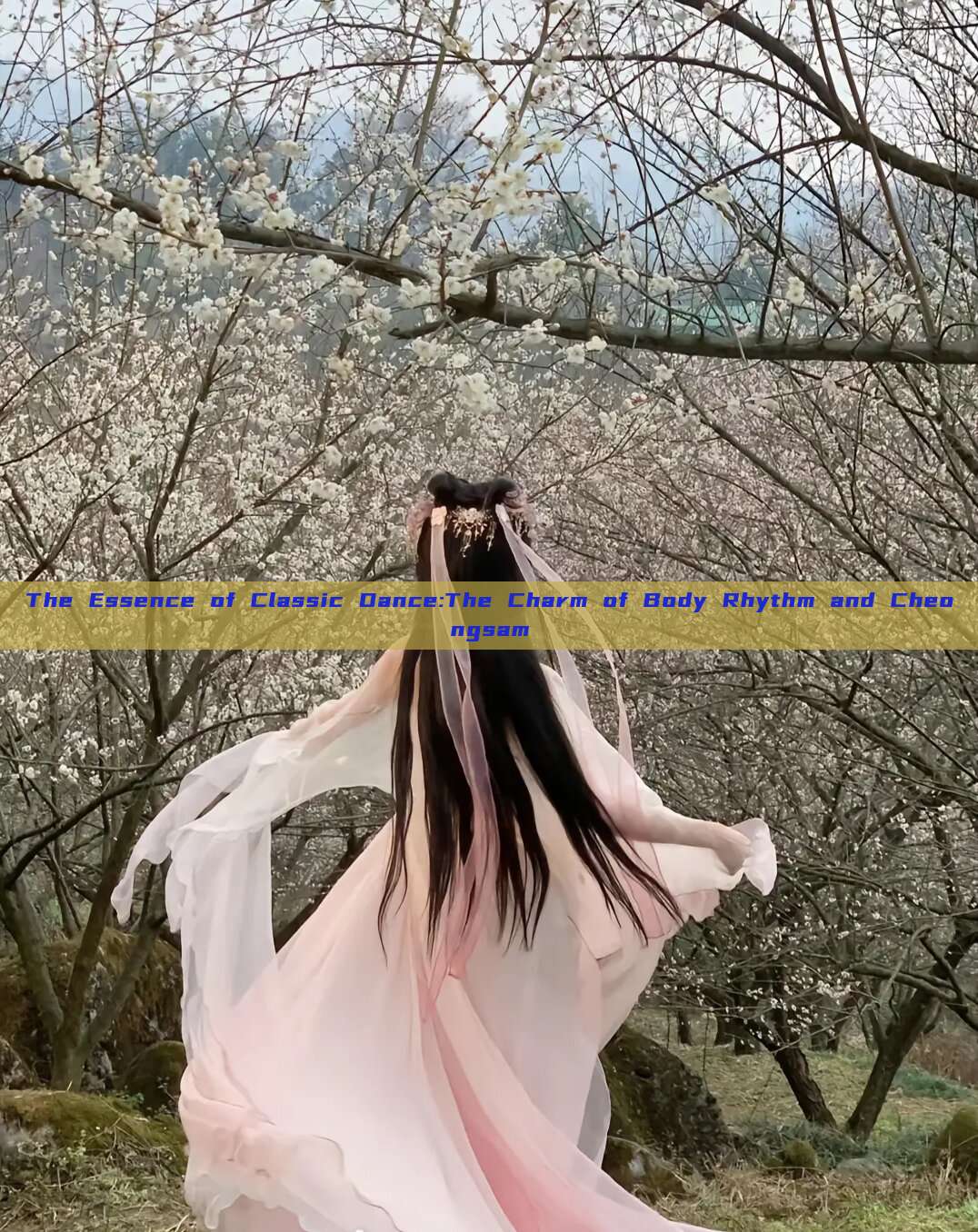 The Essence of Classic Dance:The Charm of Body Rhythm and Cheongsam The Essence of Classic Dance:The Charm of Body Rhythm and Cheongsam