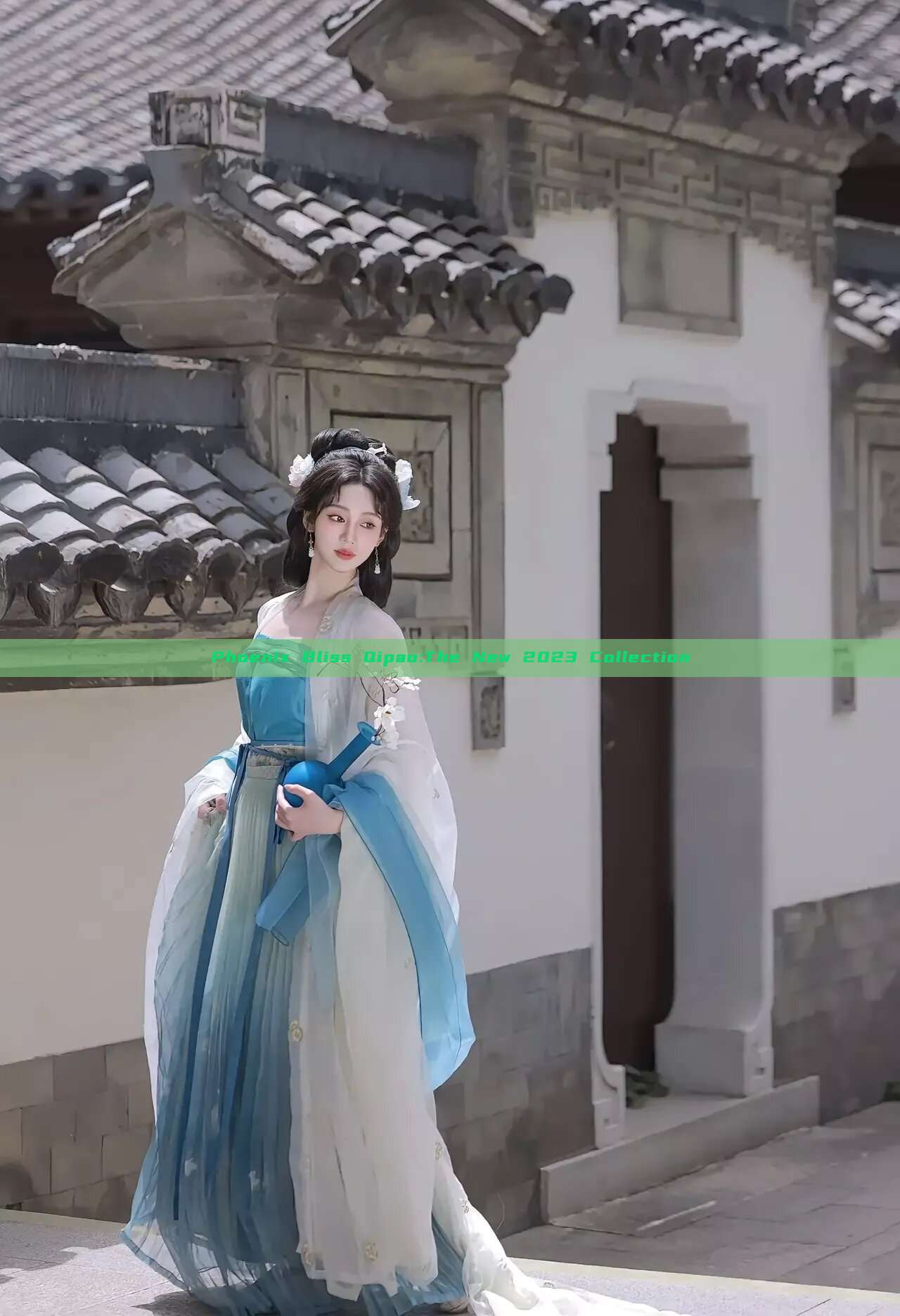 Phoenix Bliss Qipao:The New 2023 Collection Phoenix Bliss Qipao:The New 2023 Collection