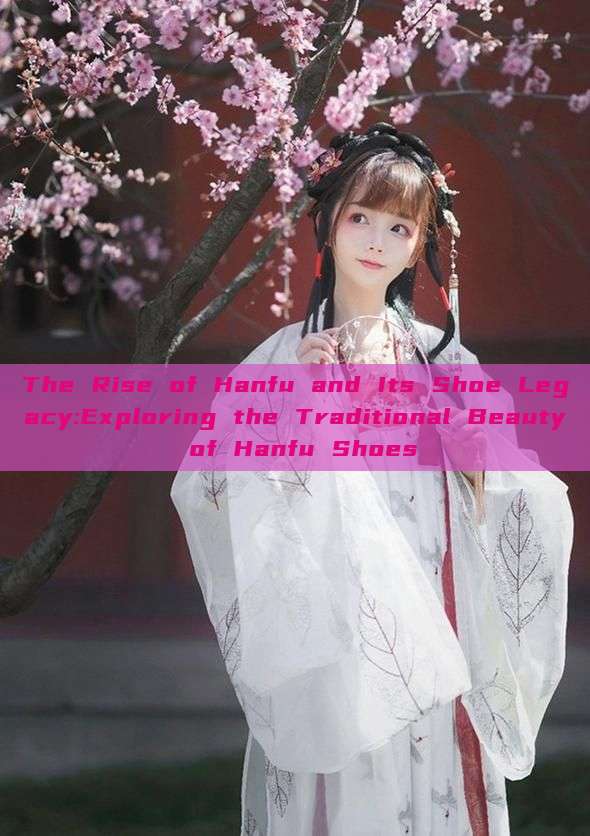 The Rise of Hanfu and Its Shoe Legacy:Exploring the Traditional Beauty of Hanfu Shoes The Rise of Hanfu and Its Shoe Legacy:Exploring the Traditional Beauty of Hanfu Shoes
