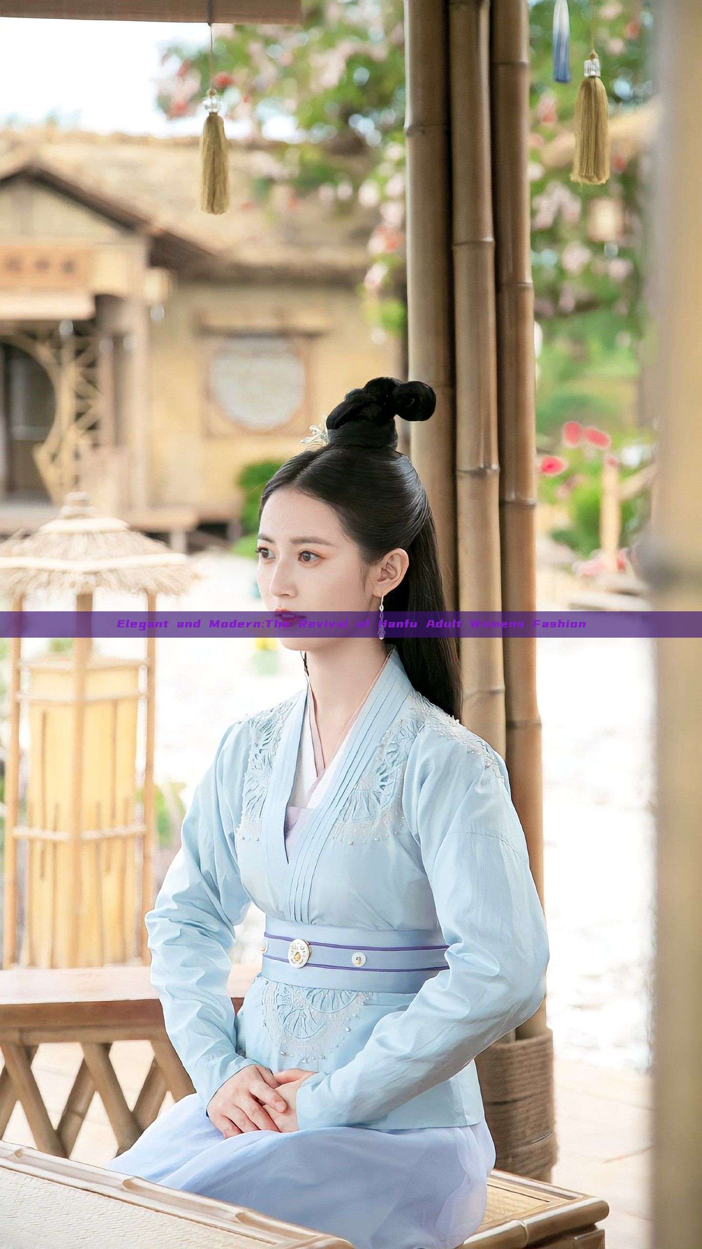 Elegant and Modern:The Revival of Hanfu Adult Womens Fashion Elegant and Modern:The Revival of Hanfu Adult Womens Fashion