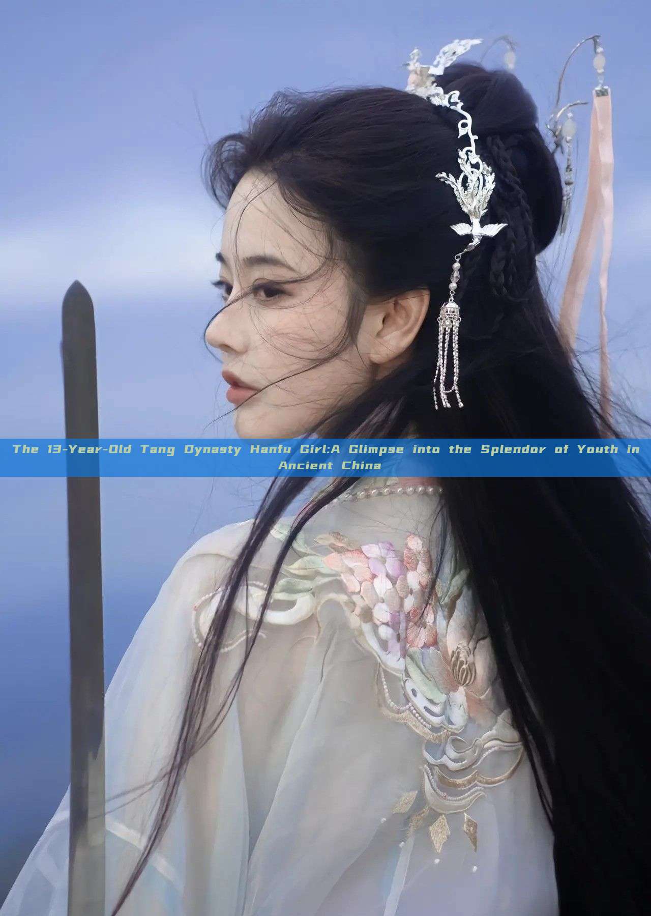 The 13-Year-Old Tang Dynasty Hanfu Girl:A Glimpse into the Splendor of Youth in Ancient China The 13-Year-Old Tang Dynasty Hanfu Girl:A Glimpse into the Splendor of Youth in Ancient China