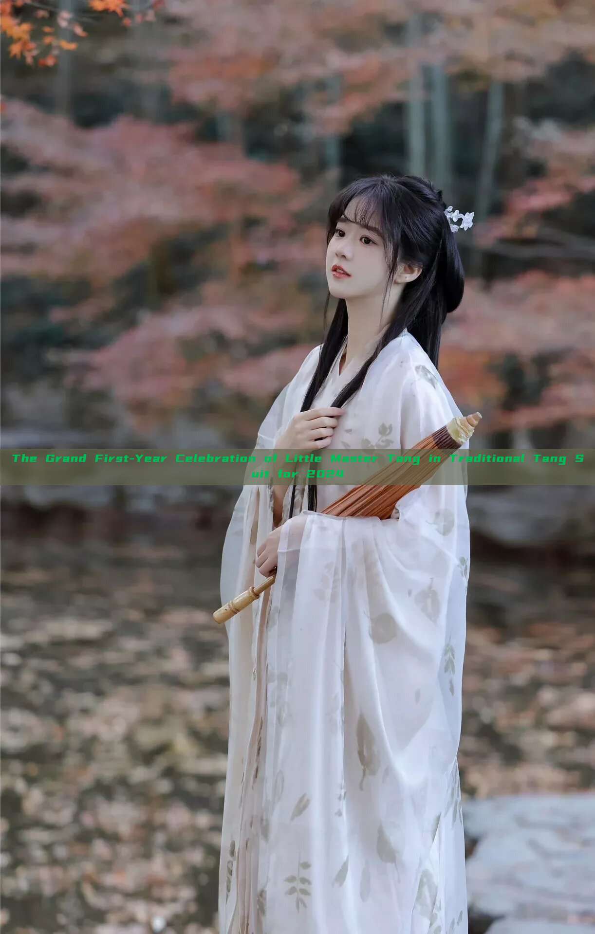 The Grand First-Year Celebration of Little Master Tang in Traditional Tang Suit for 2024