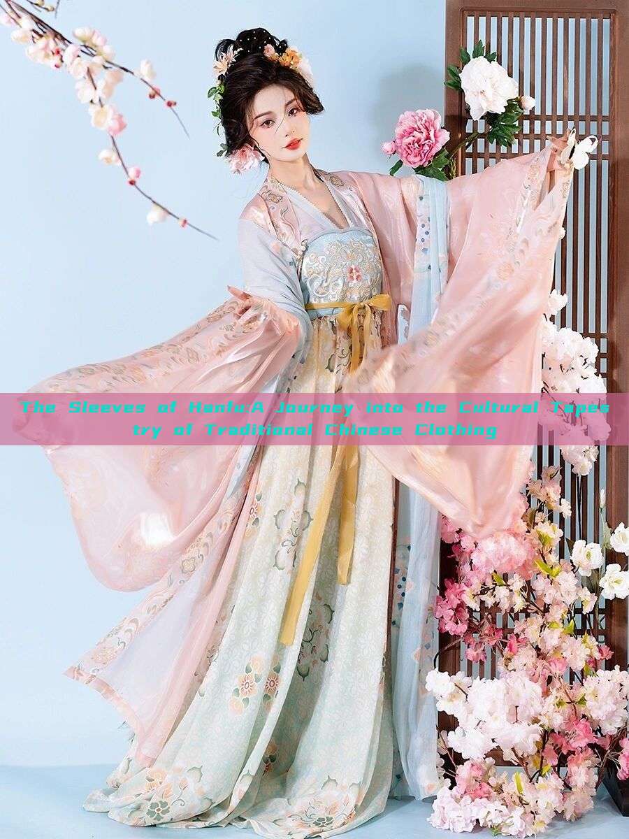 The Sleeves of Hanfu:A Journey into the Cultural Tapestry of Traditional Chinese Clothing