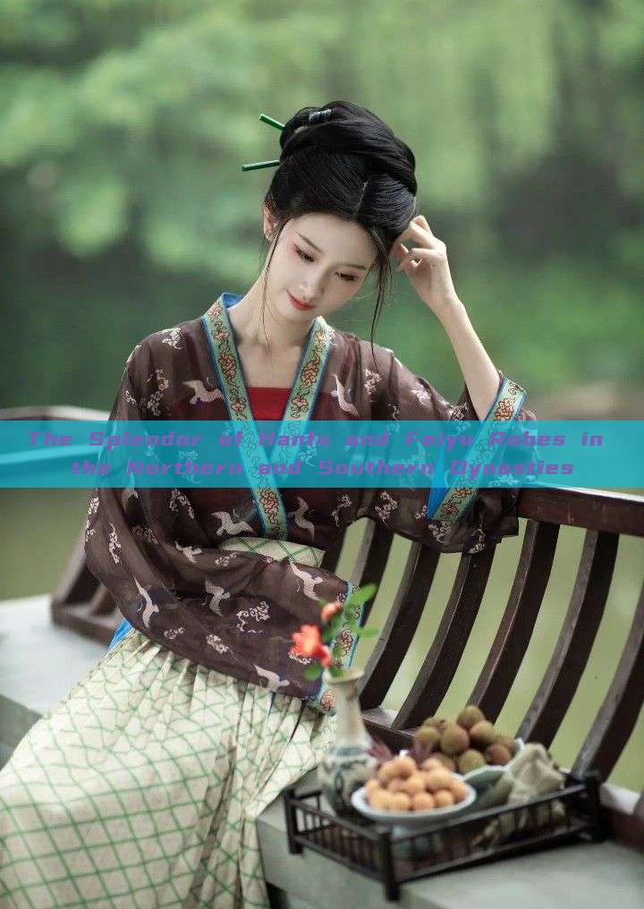 The Splendor of Hanfu and Feiyu Robes in the Northern and Southern Dynasties The Splendor of Hanfu and Feiyu Robes in the Northern and Southern Dynasties