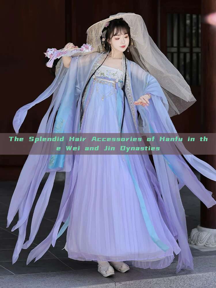 The Splendid Hair Accessories of Hanfu in the Wei and Jin Dynasties