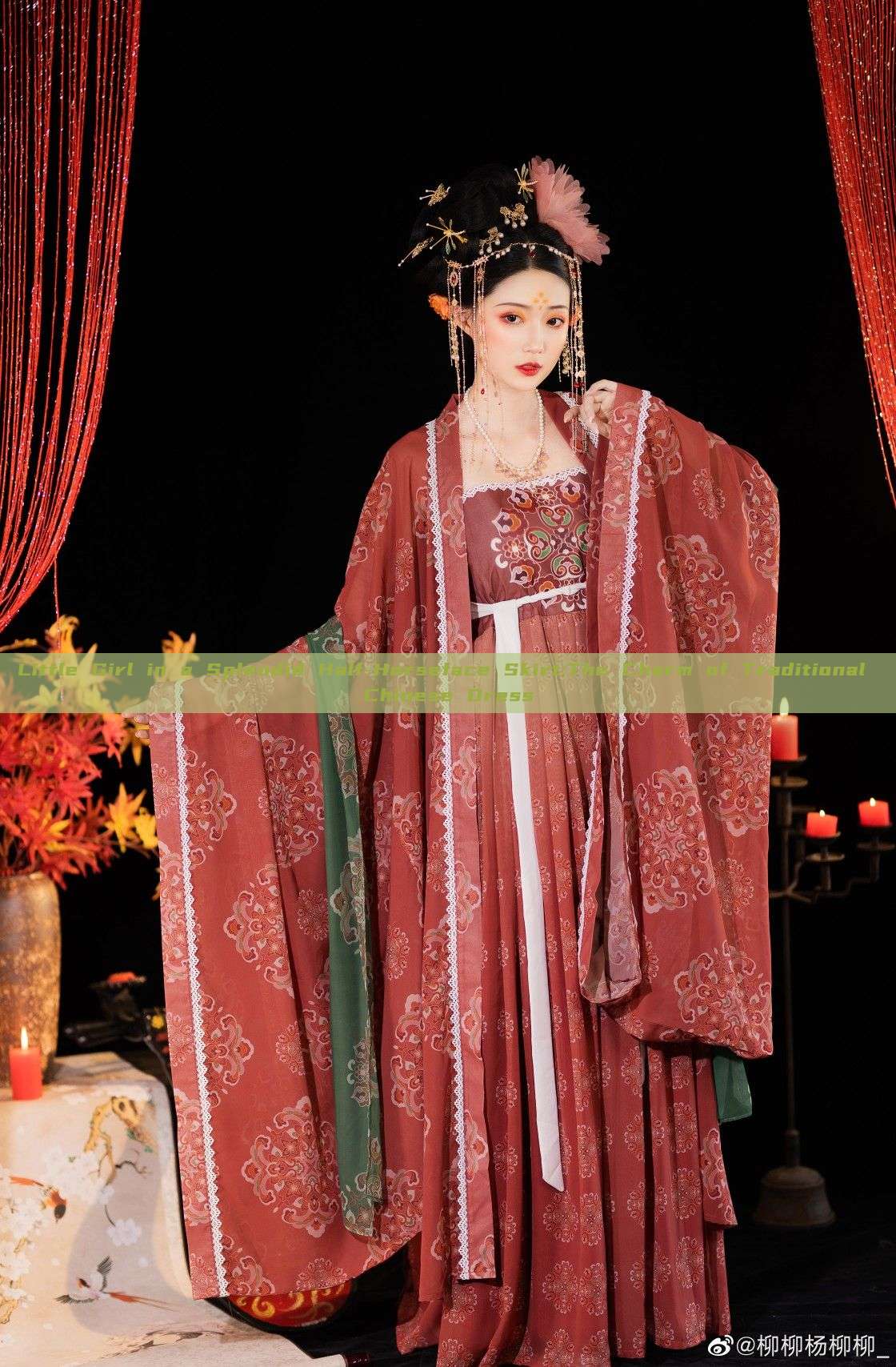Little Girl in a Splendid Half-Horseface Skirt:The Charm of Traditional Chinese Dress Little Girl in a Splendid Half-Horseface Skirt:The Charm of Traditional Chinese Dress