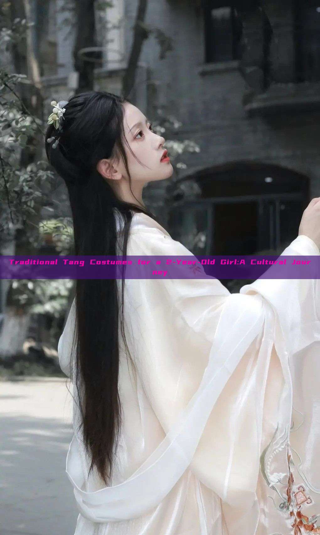 Traditional Tang Costumes for a 2-Year-Old Girl:A Cultural Journey Traditional Tang Costumes for a 2-Year-Old Girl:A Cultural Journey