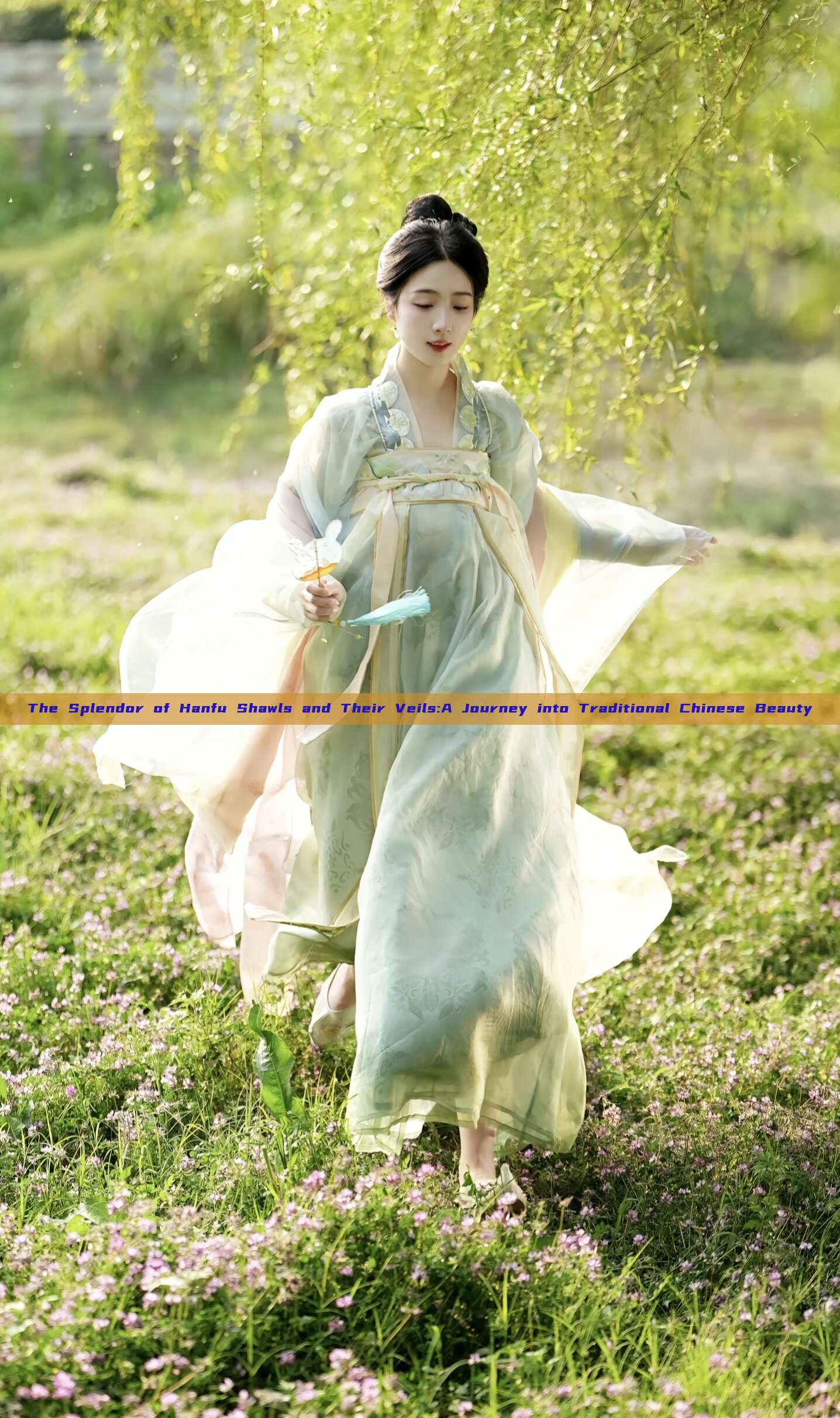 The Splendor of Hanfu Shawls and Their Veils:A Journey into Traditional Chinese Beauty