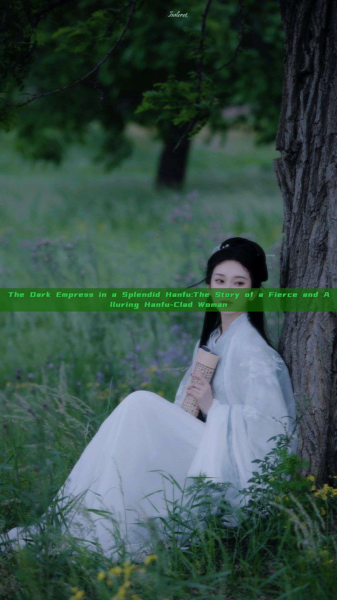 The Dark Empress in a Splendid Hanfu:The Story of a Fierce and Alluring Hanfu-Clad Woman