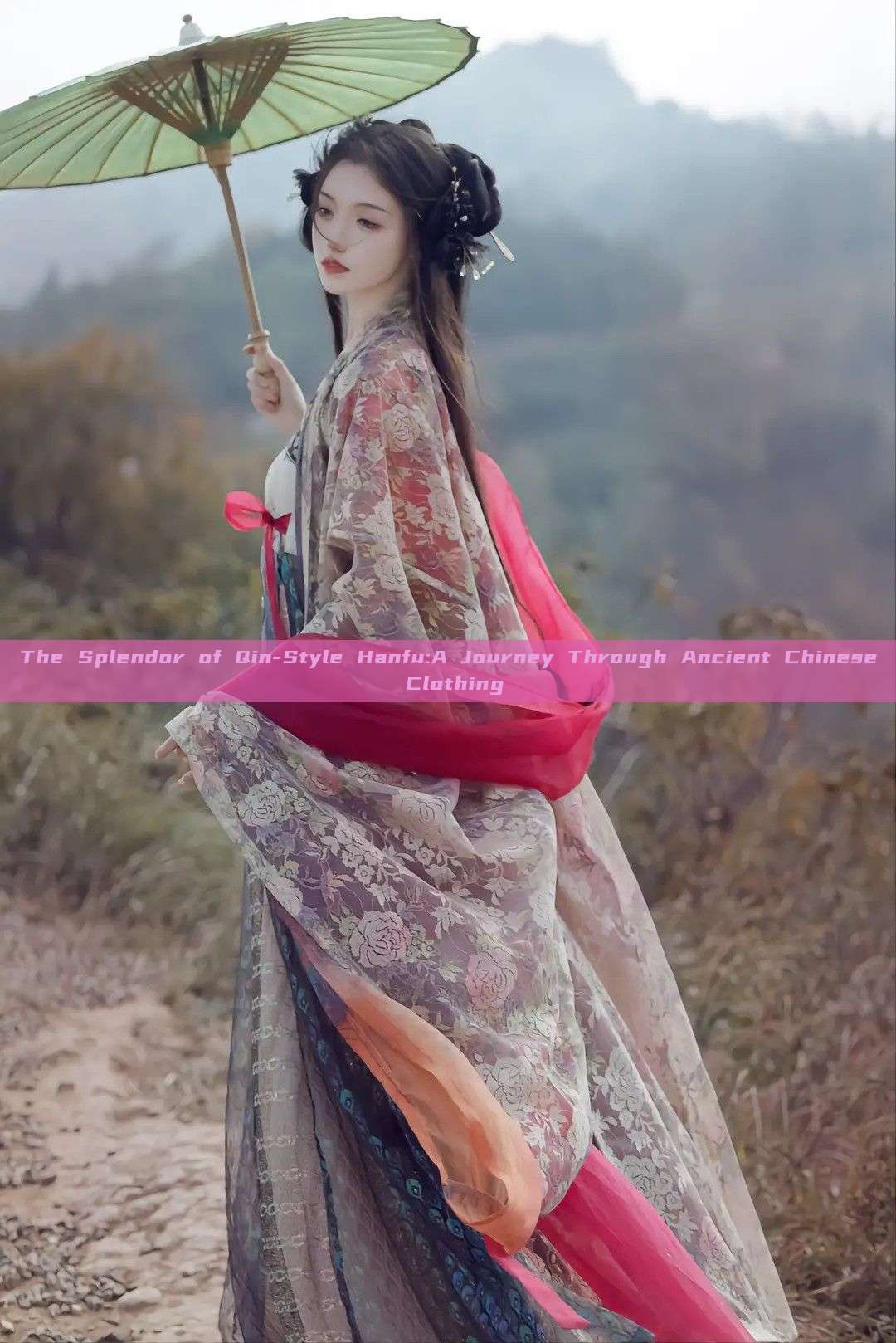 The Splendor of Qin-Style Hanfu:A Journey Through Ancient Chinese Clothing