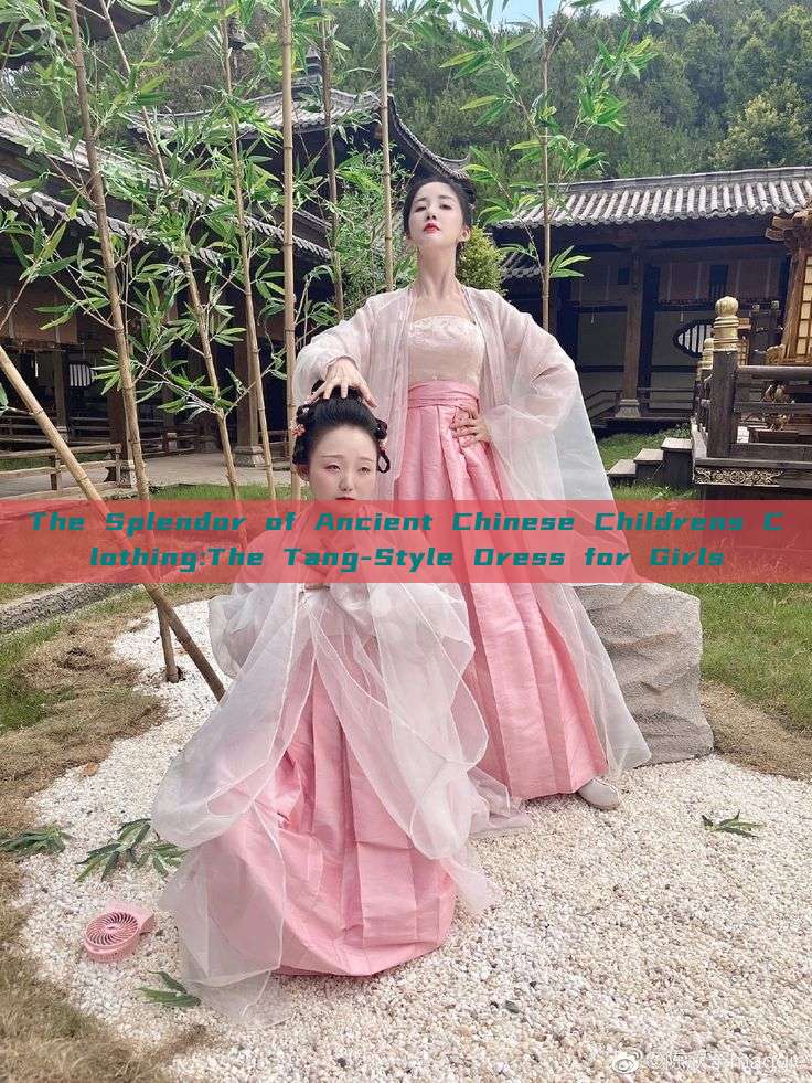The Splendor of Ancient Chinese Childrens Clothing:The Tang-Style Dress for Girls The Splendor of Ancient Chinese Childrens Clothing:The Tang-Style Dress for Girls