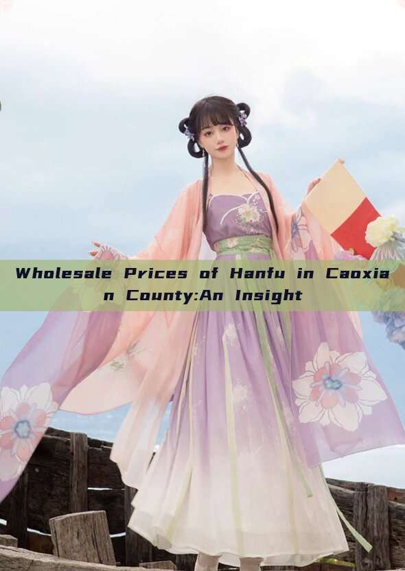 Wholesale Prices of Hanfu in Caoxian County:An Insight Wholesale Prices of Hanfu in Caoxian County:An Insight