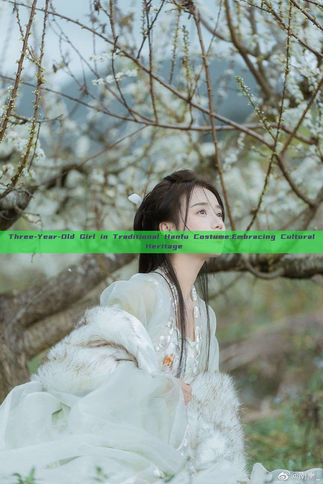 Three-Year-Old Girl in Traditional Hanfu Costume:Embracing Cultural Heritage Three-Year-Old Girl in Traditional Hanfu Costume:Embracing Cultural Heritage