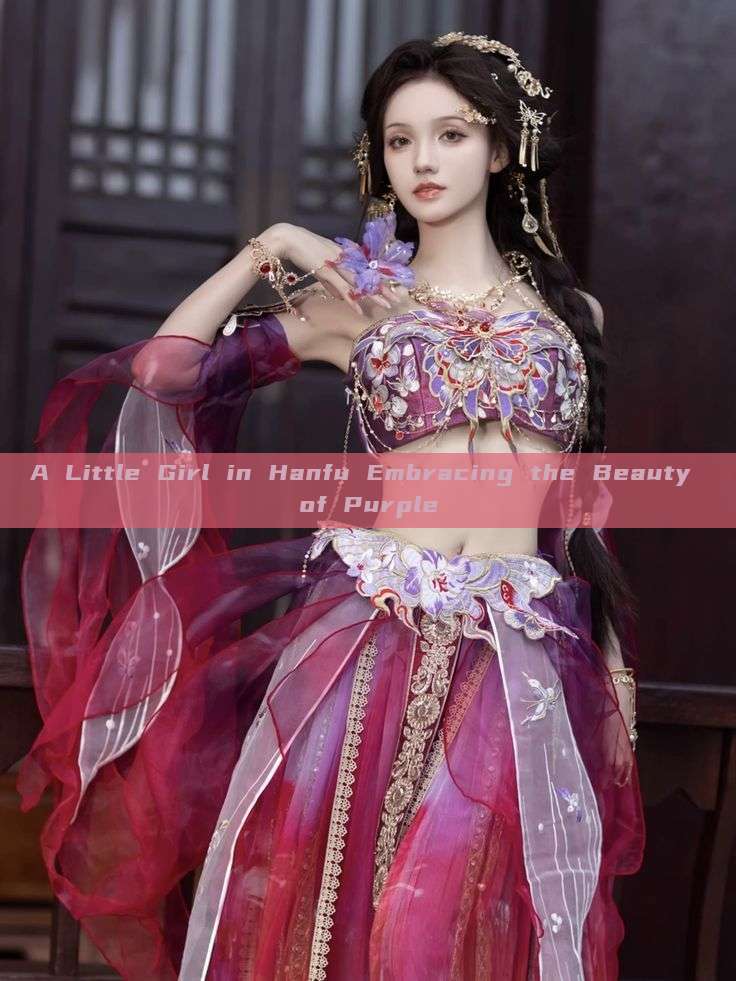 A Little Girl in Hanfu Embracing the Beauty of Purple A Little Girl in Hanfu Embracing the Beauty of Purple